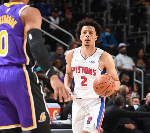 正文用专业 正文用专业